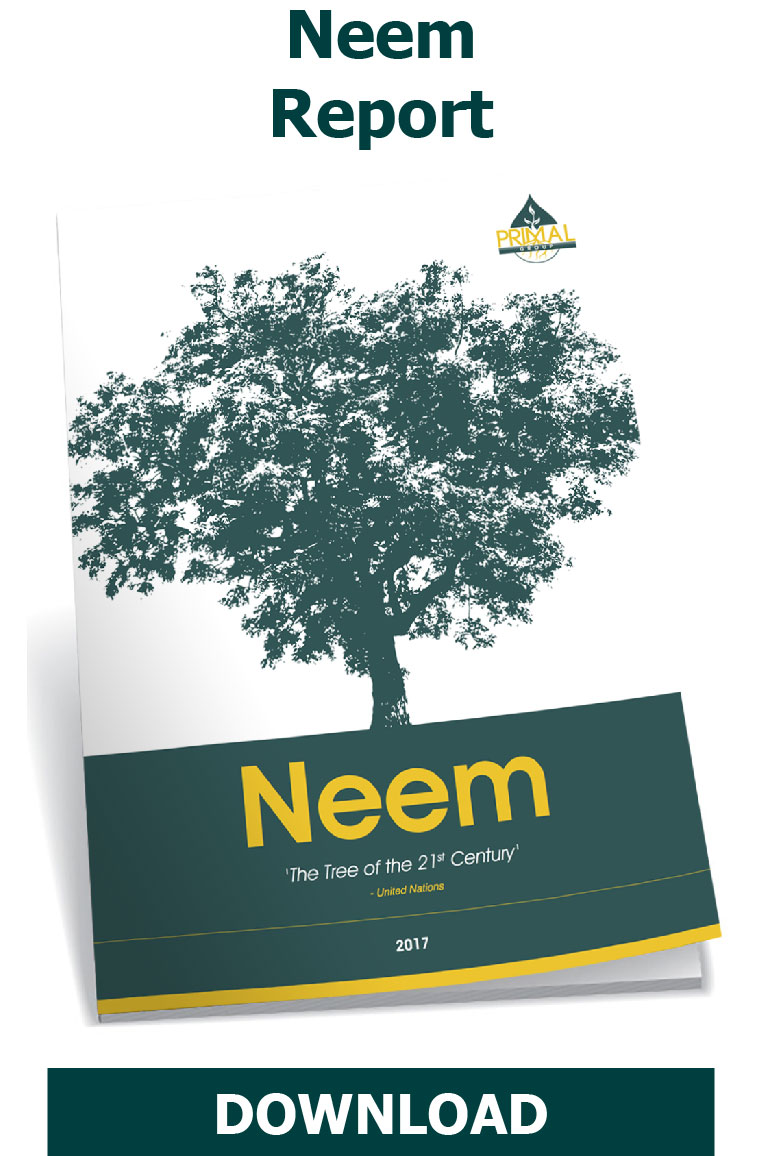 Neem Report