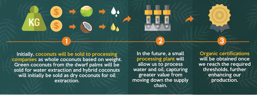 Coconut Processing