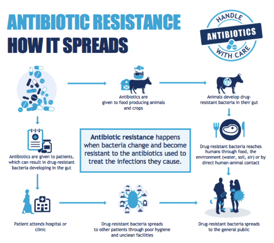 On The Verge Of A Post Antibiotic Era