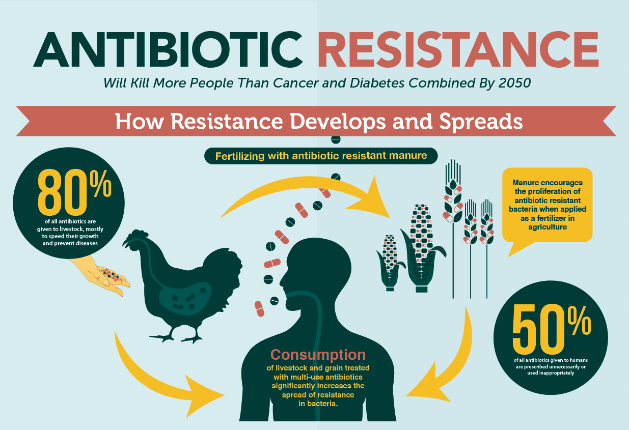 Efforts to Combat AntibioticResistant Bacteria Through