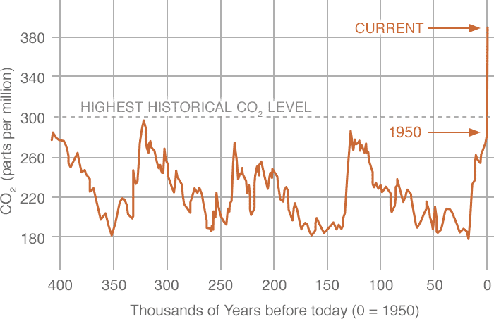 Historical Carbon Levels