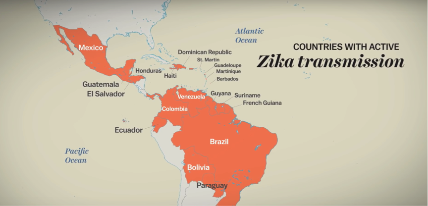 Zika transmission