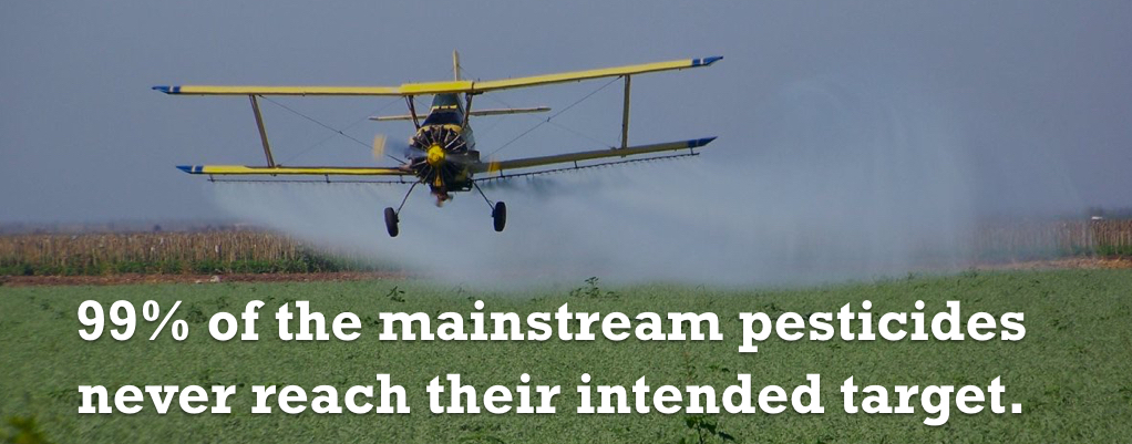 pesticide fact 1