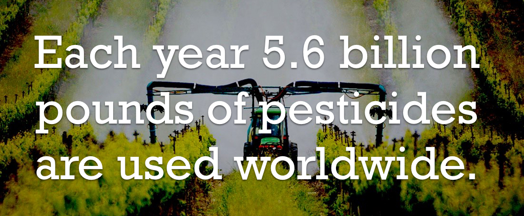 pesticide fact 2
