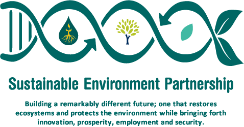 Sustainable Environment Logos No Text