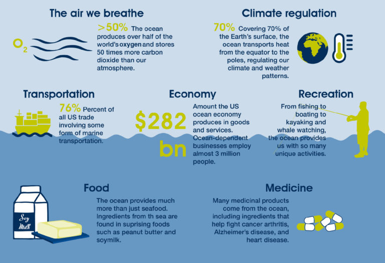 Overcoming Ocean Plastic Pollution – Primal Group