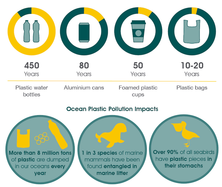 Many more years. Plastic decomposition. Decomposition of waste. PLA пластик разлагается. Decompose Plastic.